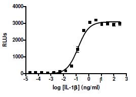 Nf Kappab Luciferase Reporter A Cell Line Bps Bioscience Biomol