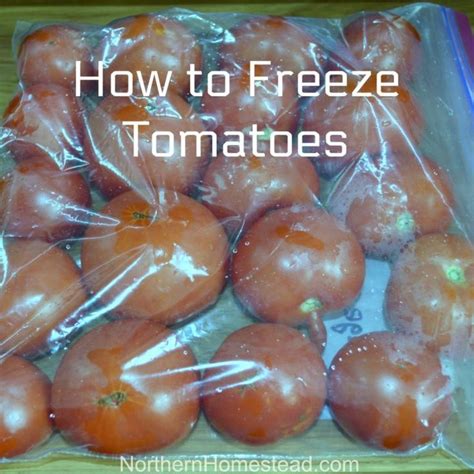 The Easiest Way To Preserve Tomatoes Freezing Tomatoes Freezing Food Guide Freezing Vegetables