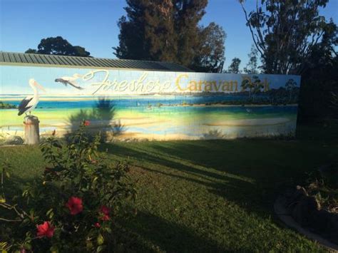 foreshore caravan park nambucca campground reviews nambucca heads
