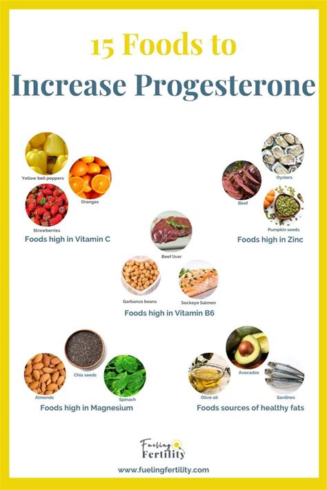 Foods to Increase Progesterone: What Does The Evidence Say ...