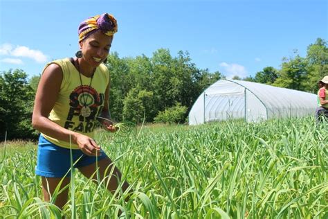 Gardening while Black: How some are redefining relationship to land