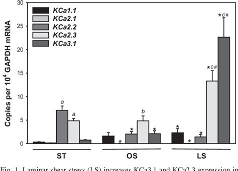 Table 1 from Laminar shear stress upregulates endothelial Ca²