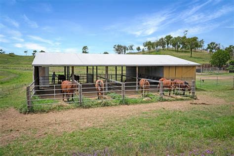 Large Cattle And Cropping Property For Sale South East Qld