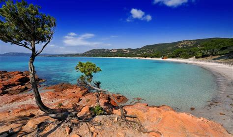 Les Plages Au Sud De Porto Vecchio Palombaggia Home Rent