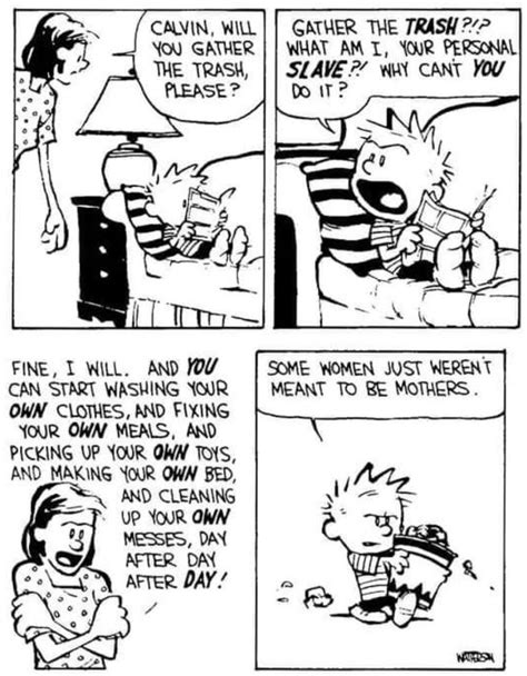 Pin By Joshua Hyrum On Calvin And Hobbes Comics Calvin And Hobbes