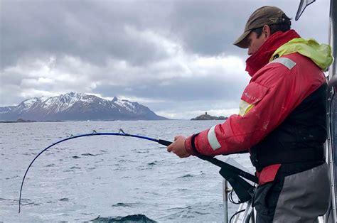 Torsk Helleflynder P Havtur I Nordnorge Fisk Fri