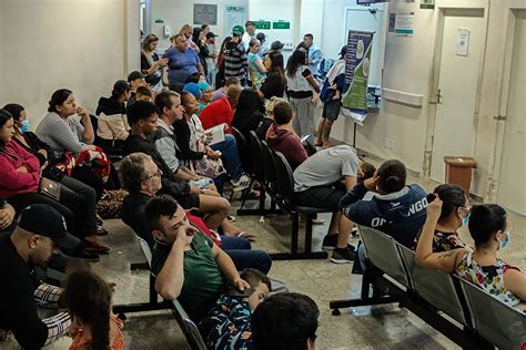 Hospitais De Sp Registram Alta De Internações Por Dengue 12042024