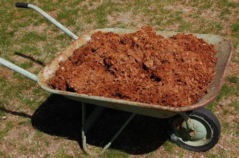 How To Mulch Your Garden In The Fall