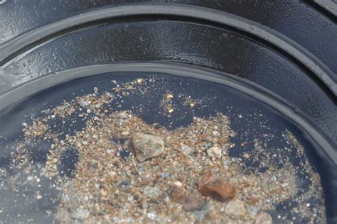 Gold Prospecting In Washington 6 Best Locations Laws How To Find Rocks