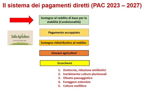 I Pagamenti Diretti Della Nuova PAC In Italia Sicilia Agricoltura