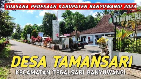 Seperti Ini Suasana Desa Tamansari Kecamatan Tegalsari Banyuwangi