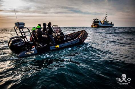 OPERATION DOLPHIN BYCATCH Sea Shepherd