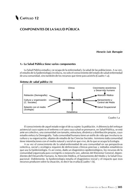 Documento Completo Hfjhf FUNDAMENTOS DE SALUD PBLICA 305