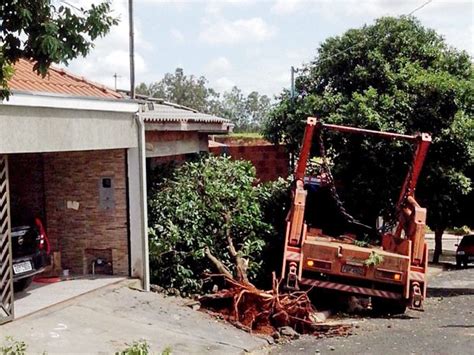 G1 Caminhão desce rua arranca duas árvores e bate em muro de