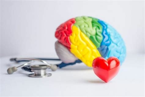 Ways To Maintain Your Brain Health As You Age Respectcaregivers