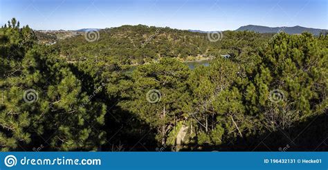 Bosque Del Valle Del Amor En Dalat En Vietnam Imagen De Archivo