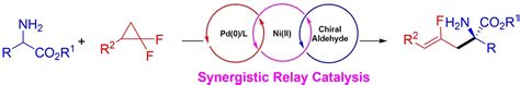 Enantioselective TsujiTrost αFluoroallylation of Amino Acid Esters