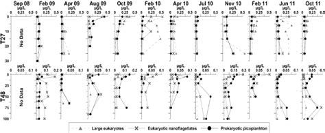 Vertical Profiles Of Phytoplankton Groups In Mersin Bay North Eastern