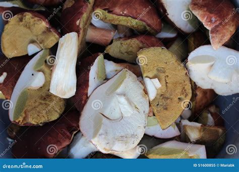 Sliced white mushrooms stock image. Image of clean, edible - 51600855