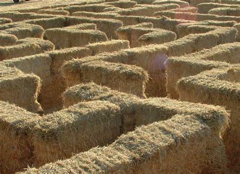 Hay Maze – Odyssey Fun Farm