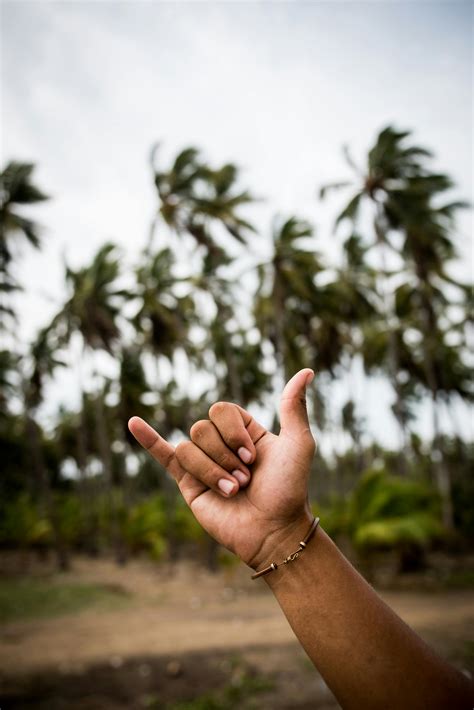 Yolo Photos, Download The BEST Free Yolo Stock Photos & HD Images