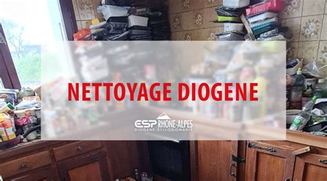 Nettoyage Diog Ne Comment Nettoyer Un Appartement Tr S Sale Esp