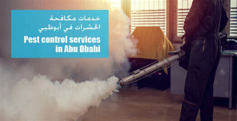 Abu Dhabi Pest Control Amana Pest Control Company Abu Dhabi