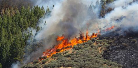 Imágenes Del Mayor Incendio Forestal De España En Lo Que Va Del Año