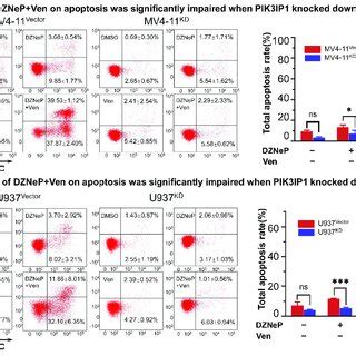 The Mechanism Of The Synergy Of Co Targeting Ezh And Bcl By Dznep