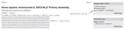 一文教会你查找基因的启动子、utr、tss等区域以及预测转录因子结合位点 腾讯云开发者社区 腾讯云