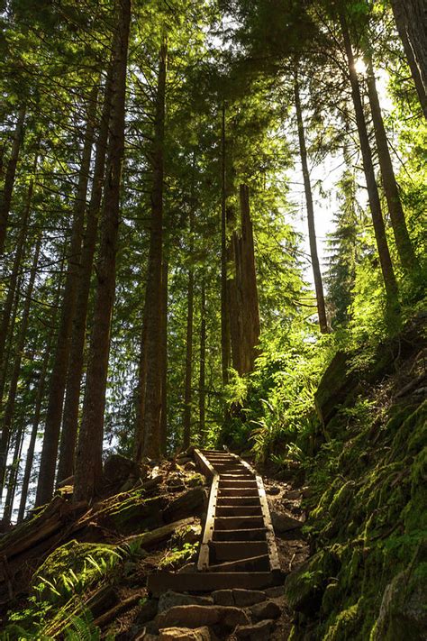 Hiking In The Pnw Photograph By Sarah Shiffler Fine Art America