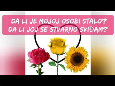 Da Li Je Mojoj Osobi Stalo Da Li Joj Se Stvarno Svi Am With English