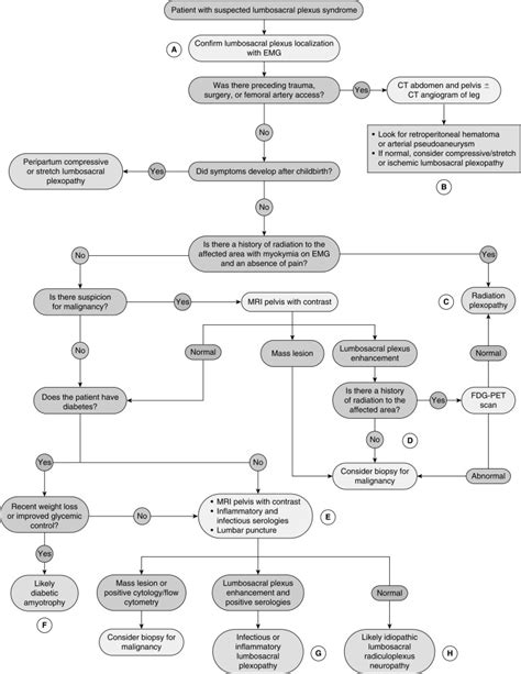 Lumbosacral Plexus Syndromes Neupsy Key