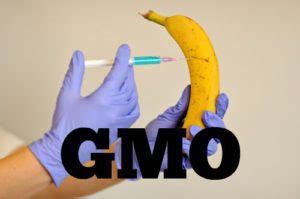 Gmo Myths Understand The Truth About Gmo Plants