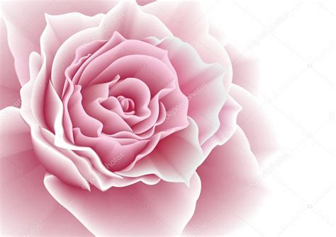 Pink Rose Vector Illustration Stock Vector Image By ©princessakris 9849571