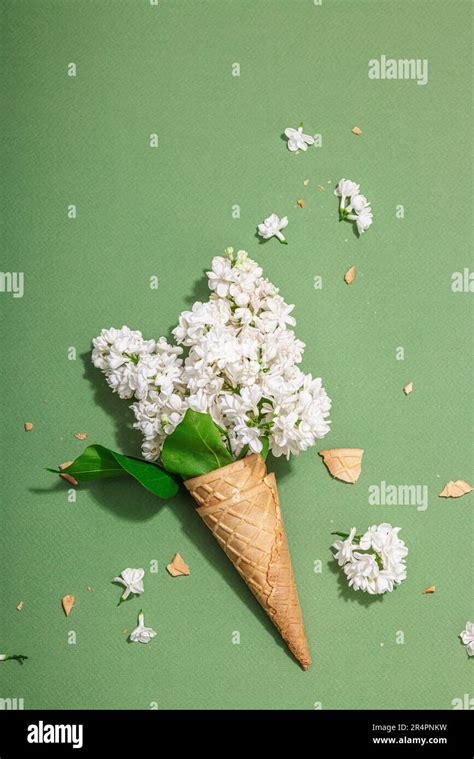 White lilac flowers in waffle ice cream cones on Savannah Green color ...