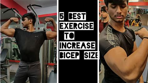 Best Exercises To Increase Bicep Size Fitness Motivation Youtube