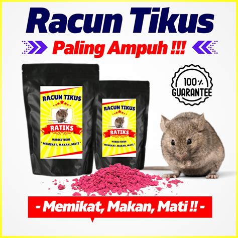 Jual Racun Tikus Ampuh Mati Kering Tidak Bau Obat Pengusir Tikus