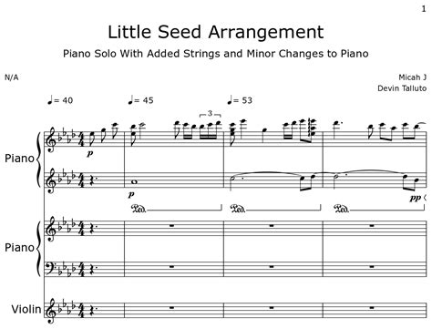 Little Seed Arrangement Sheet Music For Piano Violin