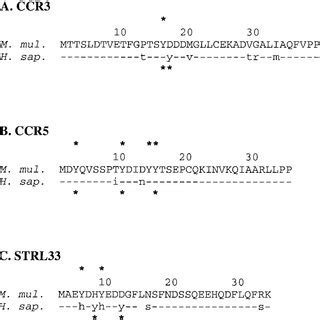 Alignment Of The Amino Terminal Extracellular Domains Of STRL33