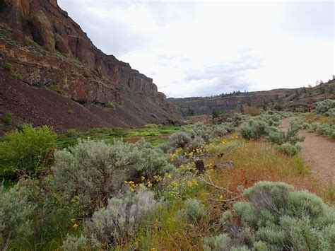 Northrup Canyon — Washington Trails Association