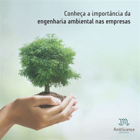 Conheça a importância da engenharia ambiental nas empresasAmbScience