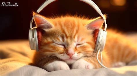 Relaxing Music For Cat 🐱 Soothing Sounds For Cat Relaxation And Deep