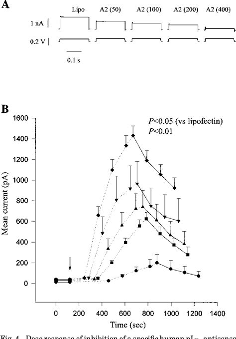 Figure 1 From Association Of Intrinsic PICln With Volume Activated Cl