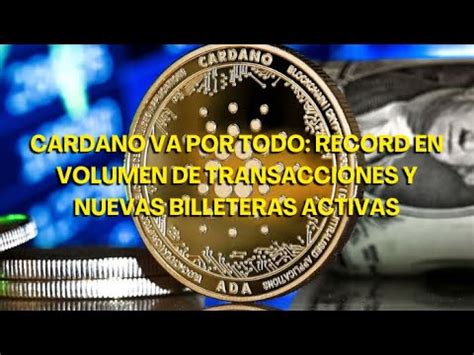 Cardano Va Por Todo R Cord En Volumen De Transacciones Y Nuevas