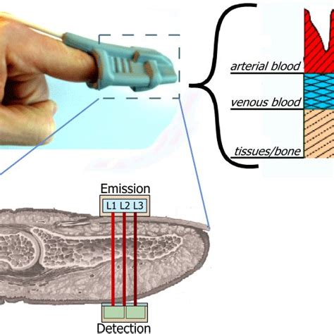 Extraction Of The Clinical Diagnostic Features From The Ppg Pulses
