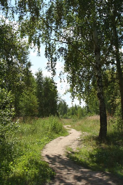 дорога на дачу | Nature photography, Nature aesthetic, Beautiful nature