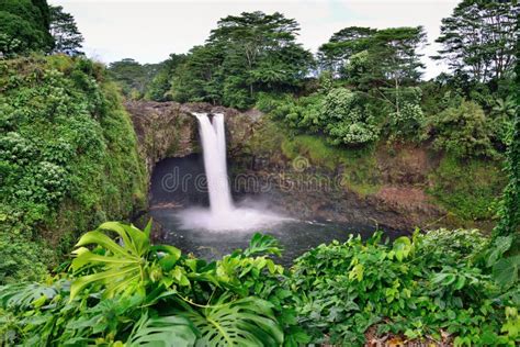 Rainbow Falls Near Hilo Big Island Of Hawaii Stock Image Image Of