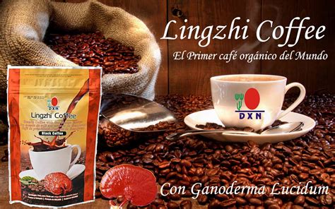 Reishi O Ganoderma Lucidum En Un Café Orgánico Dxn Internacional La