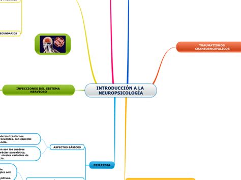 IntroducciÓn A La NeuropsicologÍa Mind Map